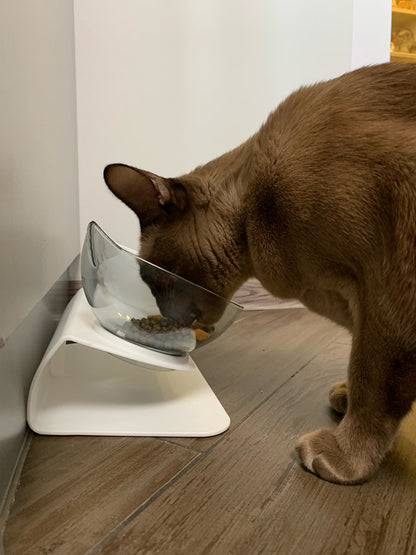 Non-Slip Double Cat / Dog Bowl With Stand